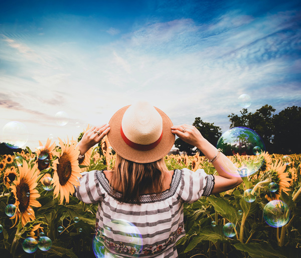 Personne qui regarde un champ de tournesol